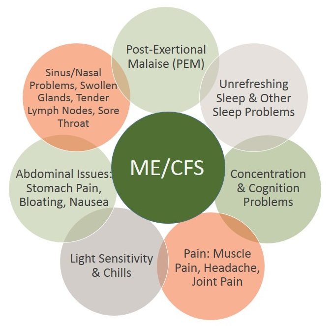 About the Disease Solve ME/CFS Initiative